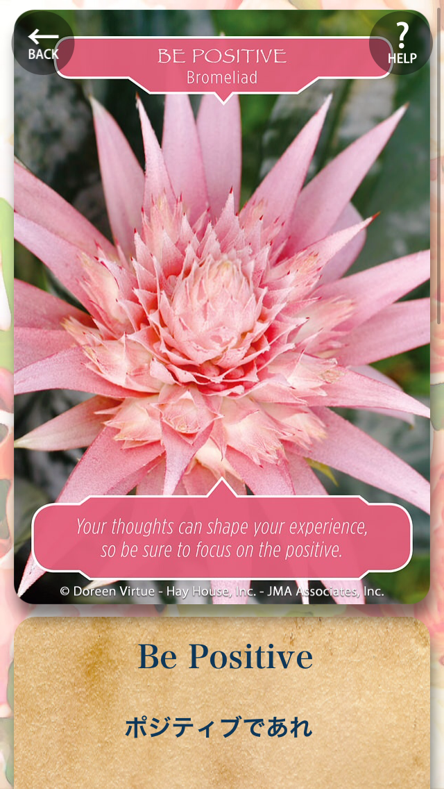 IMG_8827.PNG