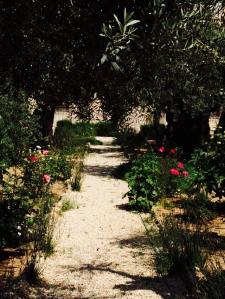 11207328_850760515007065_5104397362345911422_n