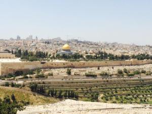 11329750_850760538340396_3275424347656809881_n