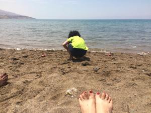 11391541_850762218340228_6830011135755827842_n