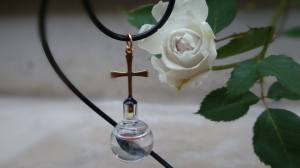 11391701_688112907959250_7014054383224031582_n