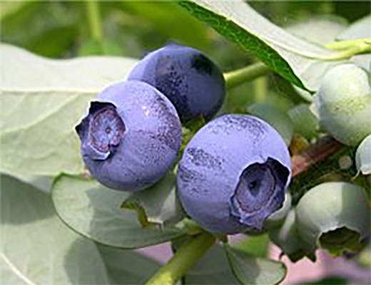 img01.jpg