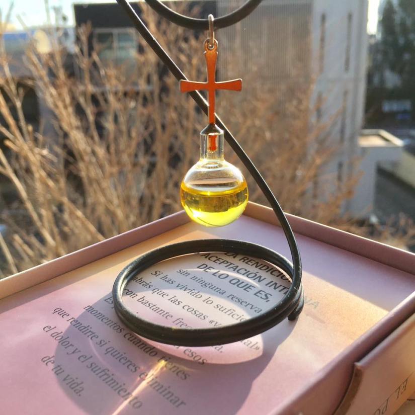 15823448_1567649273252278_6752652669248630226_n