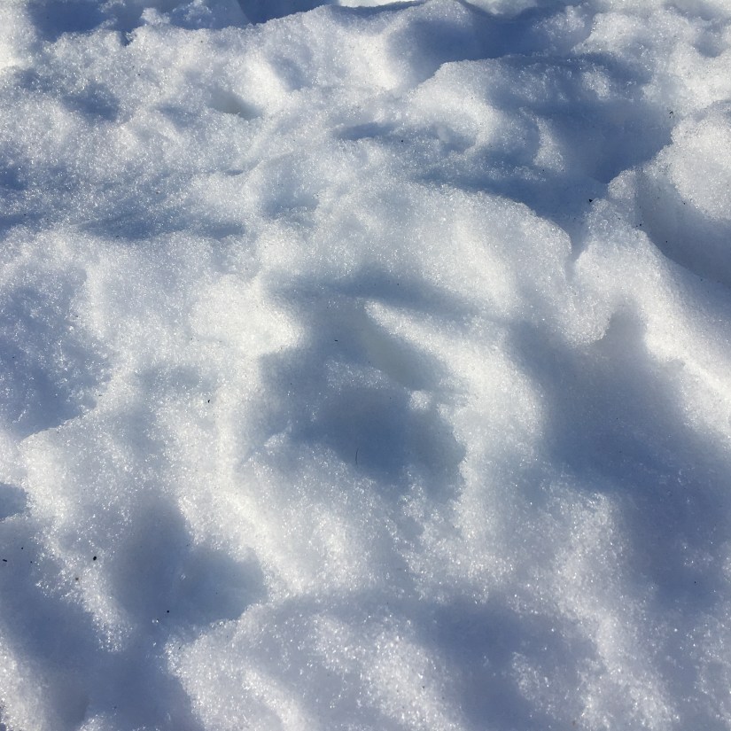 6F0CBD95-CAC1-4C68-940A-C7D600BE2B05